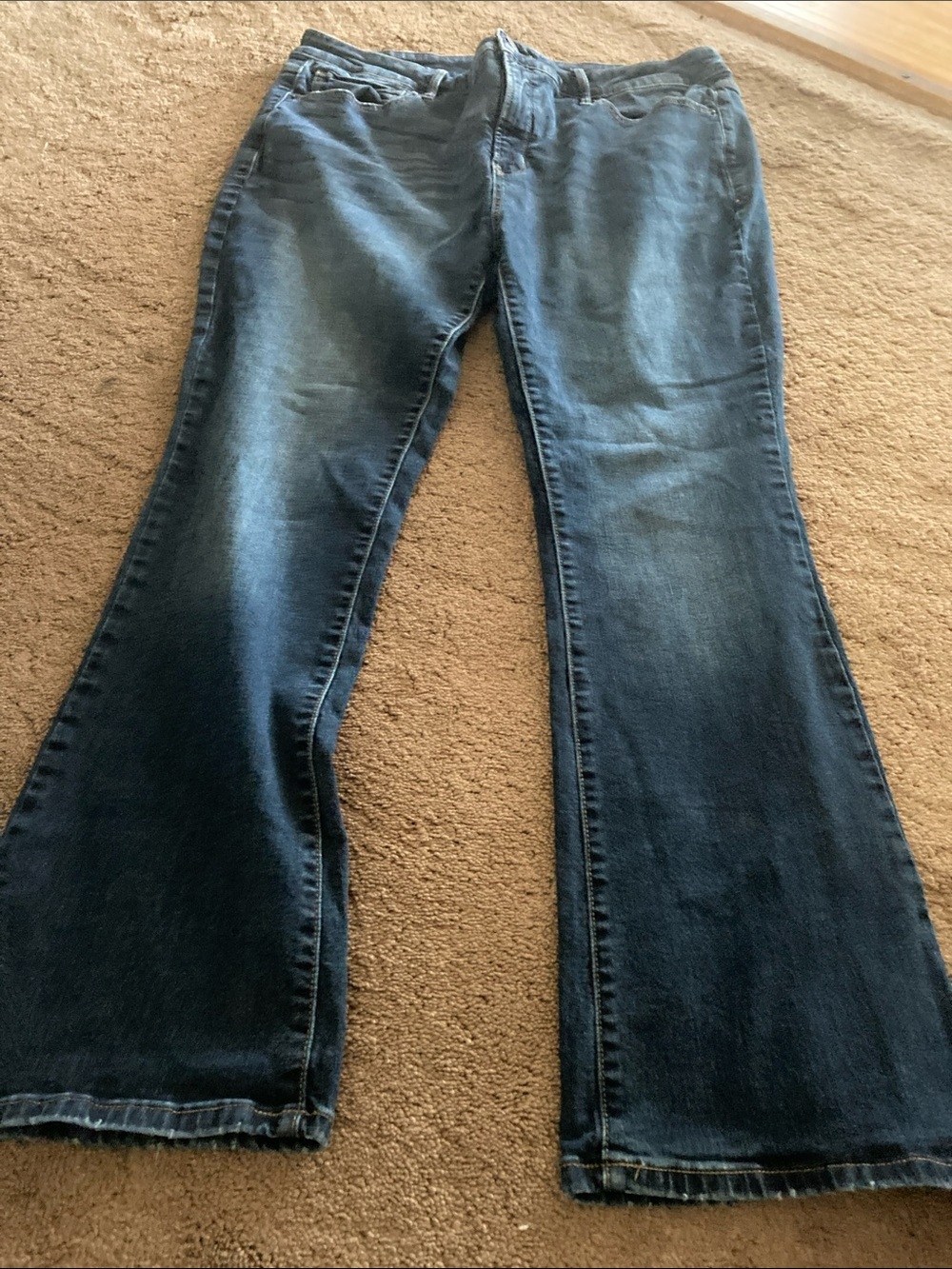 Terra & Sky Dark Blue Flare Jeans